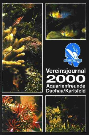 AFDK-Journal 2000