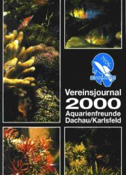 AFDK-Journal 2000